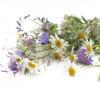 Smokers Aid Detox, cu radacina de arctium si anghinare BIO, Life Care®